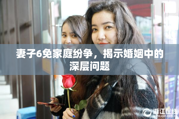 妻子6免家庭纷争，揭示婚姻中的深层问题