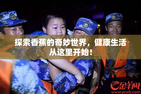 探索香蕉的奇妙世界，健康生活从这里开始！