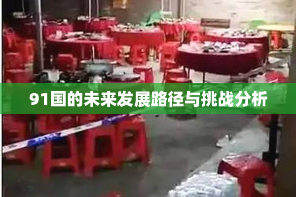 91国的未来发展路径与挑战分析