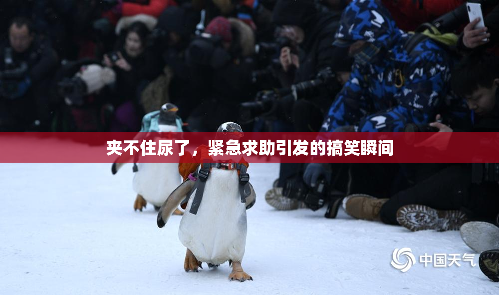 夹不住尿了，紧急求助引发的搞笑瞬间