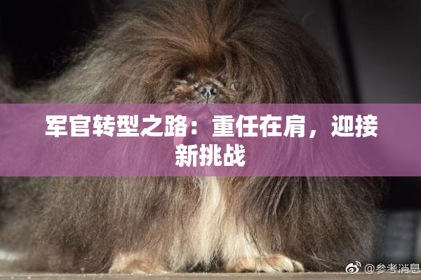 军官转型之路：重任在肩，迎接新挑战