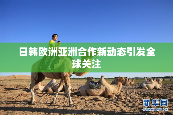 日韩欧洲亚洲合作新动态引发全球关注