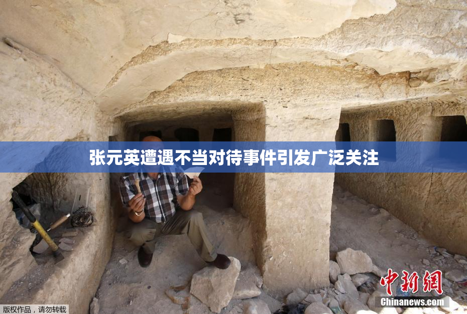 张元英遭遇不当对待事件引发广泛关注