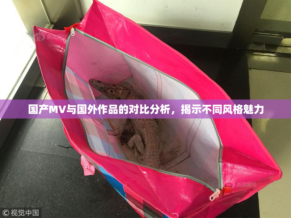 国产MV与国外作品的对比分析，揭示不同风格魅力