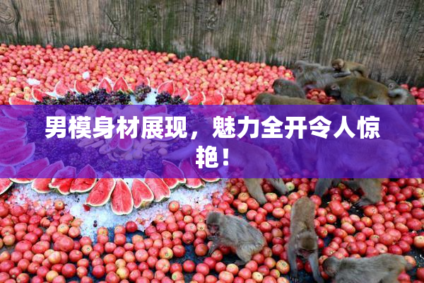 男模身材展现，魅力全开令人惊艳！