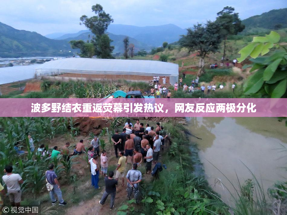波多野结衣重返荧幕引发热议，网友反应两极分化