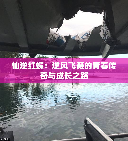 仙逆红蝶：逆风飞舞的青春传奇与成长之路