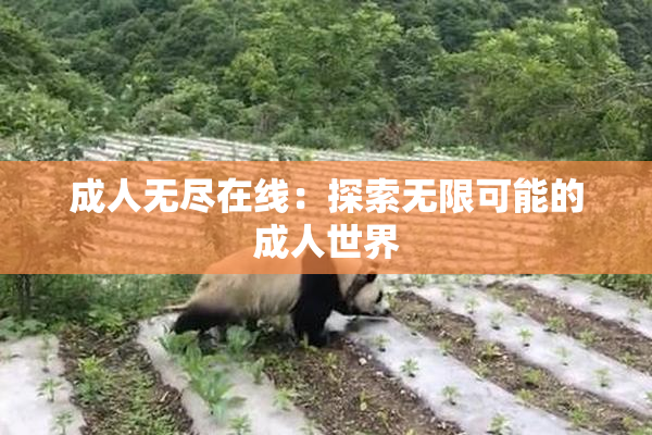 成人无尽在线：探索无限可能的成人世界