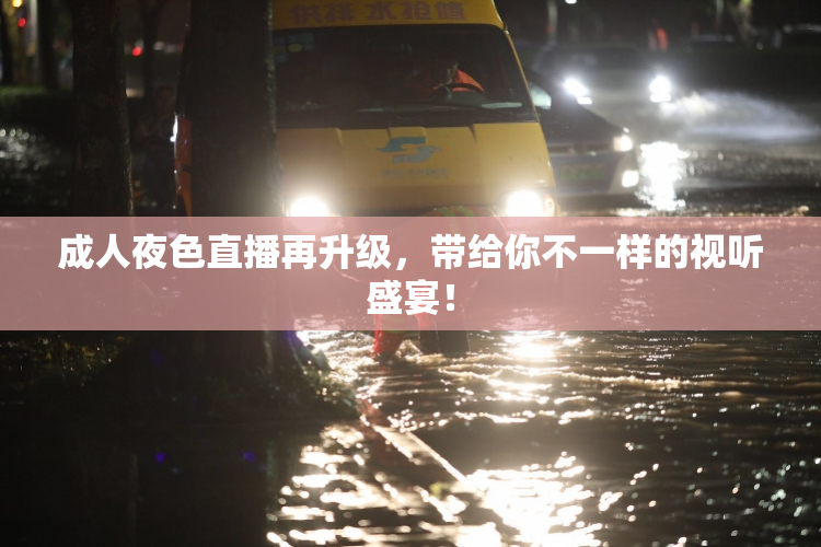 成人夜色直播再升级，带给你不一样的视听盛宴！