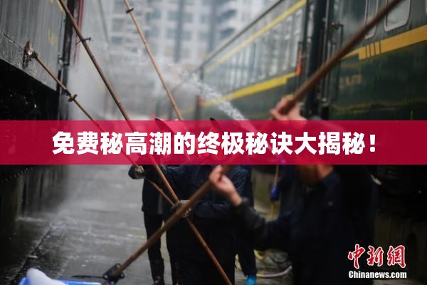 免费秘高潮的终极秘诀大揭秘！