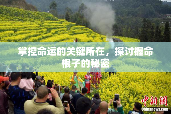 掌控命运的关键所在，探讨握命根子的秘密