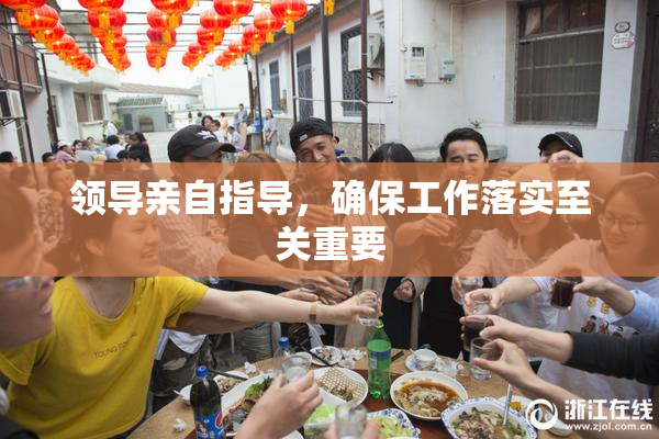 领导亲自指导，确保工作落实至关重要