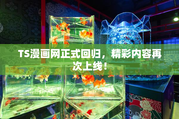 TS漫画网正式回归，精彩内容再次上线！