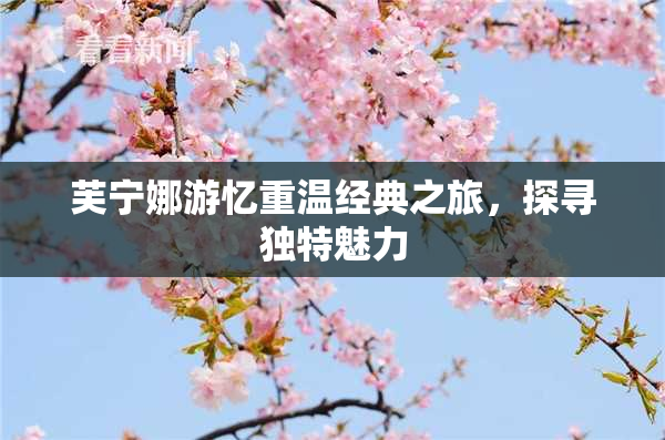 芙宁娜游忆重温经典之旅，探寻独特魅力