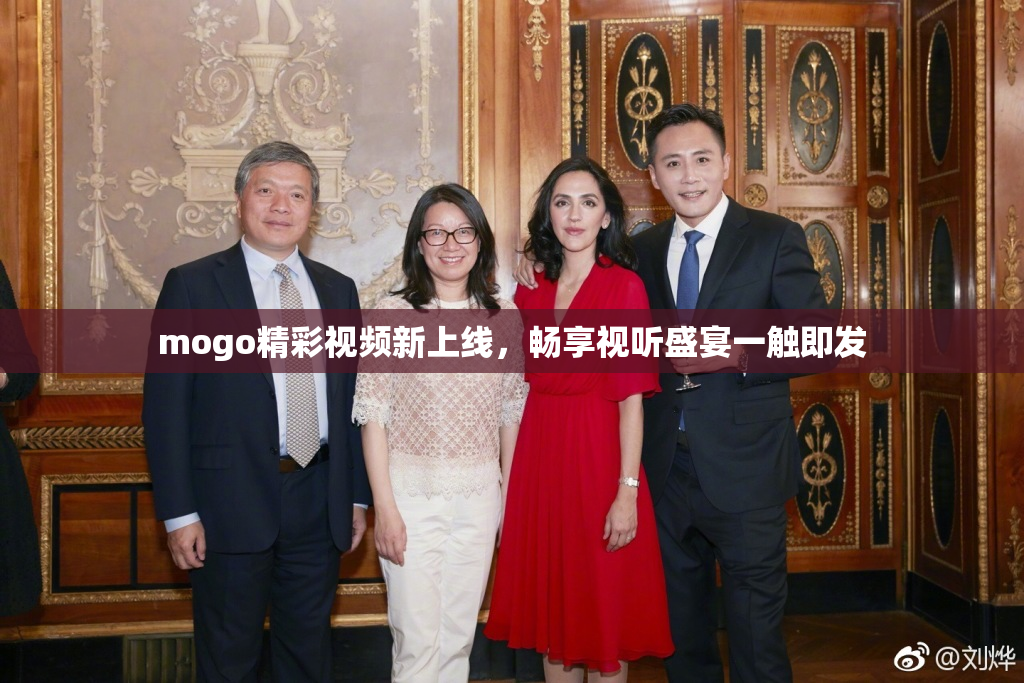 mogo精彩视频新上线，畅享视听盛宴一触即发