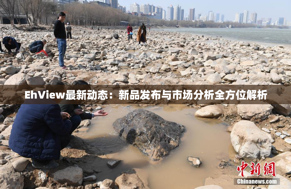EhView最新动态：新品发布与市场分析全方位解析