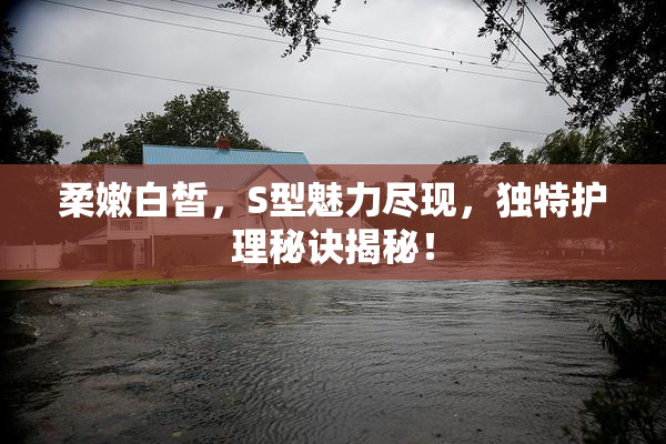 柔嫩白皙，S型魅力尽现，独特护理秘诀揭秘！