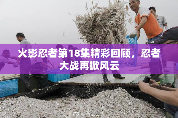火影忍者第18集精彩回顾，忍者大战再掀风云