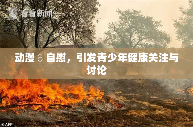 动漫♂自慰，引发青少年健康关注与讨论
