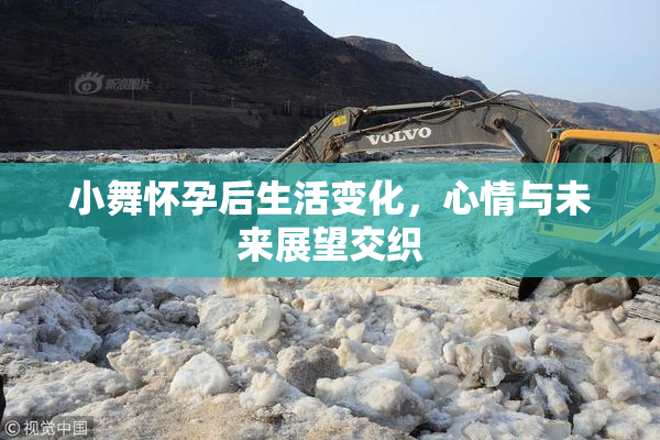 小舞怀孕后生活变化，心情与未来展望交织
