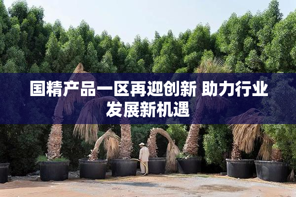 国精产品一区再迎创新 助力行业发展新机遇
