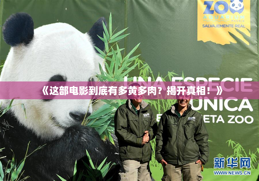 《这部电影到底有多黄多肉？揭开真相！》