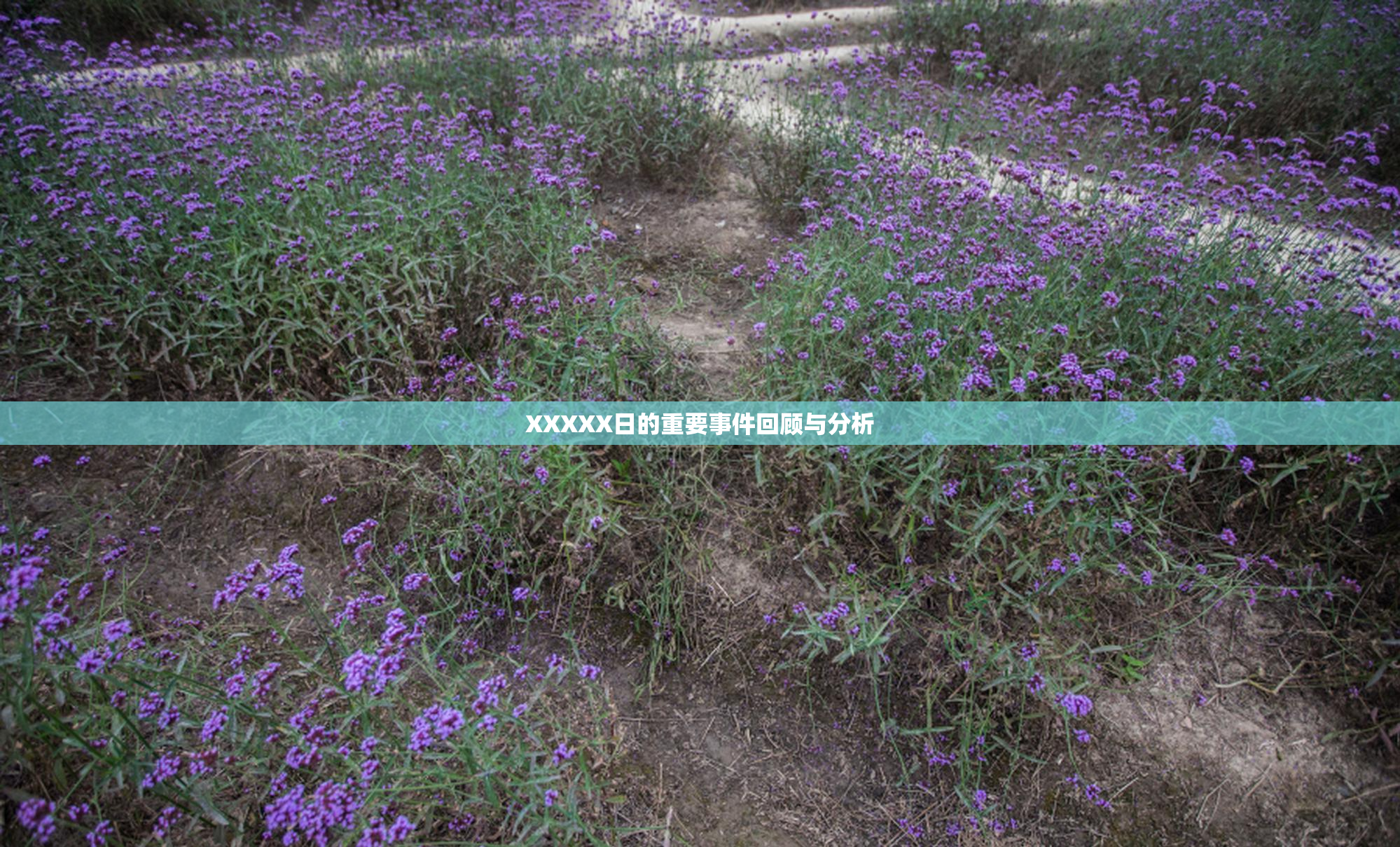 XXXXX日的重要事件回顾与分析