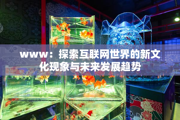 www：探索互联网世界的新文化现象与未来发展趋势