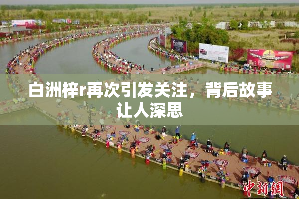 白洲梓r再次引发关注，背后故事让人深思