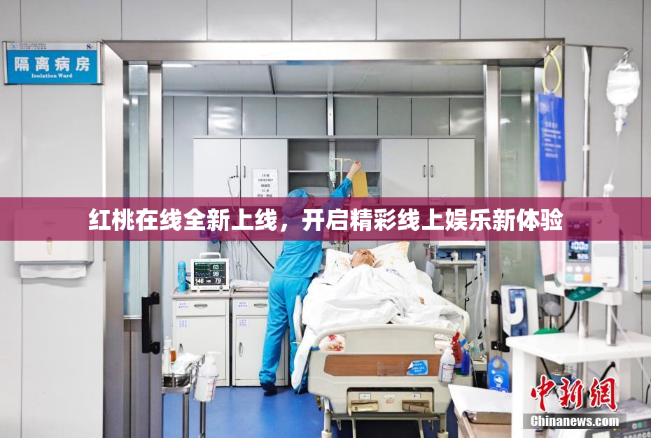 红桃在线全新上线，开启精彩线上娱乐新体验