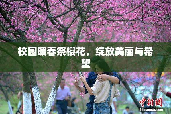 校园暖春祭樱花，绽放美丽与希望