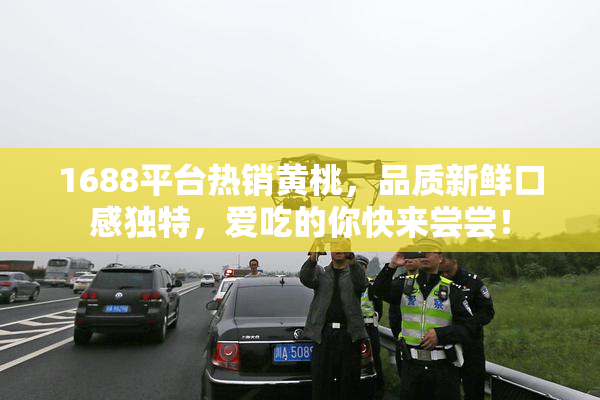 1688平台热销黄桃，品质新鲜口感独特，爱吃的你快来尝尝！