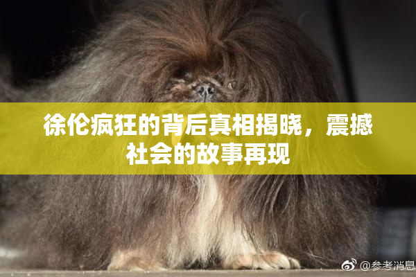 徐伦疯狂的背后真相揭晓，震撼社会的故事再现