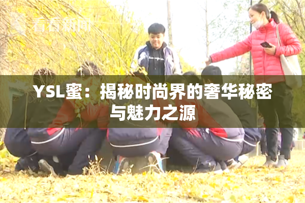 YSL蜜：揭秘时尚界的奢华秘密与魅力之源