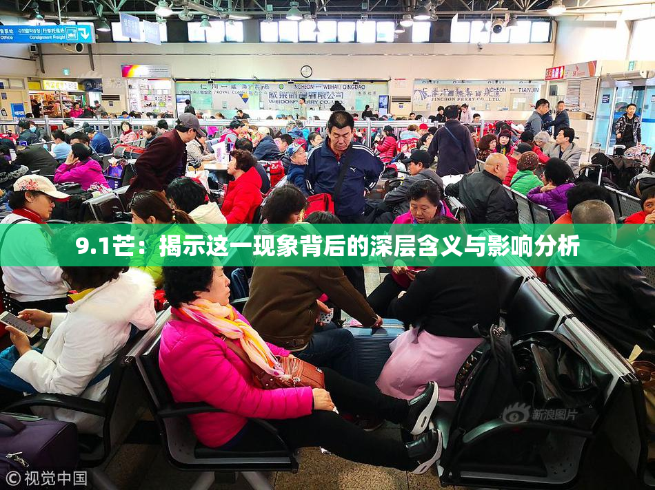9.1芒：揭示这一现象背后的深层含义与影响分析