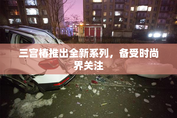 三宫椿推出全新系列，备受时尚界关注