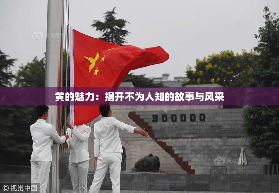 黄的魅力：揭开不为人知的故事与风采