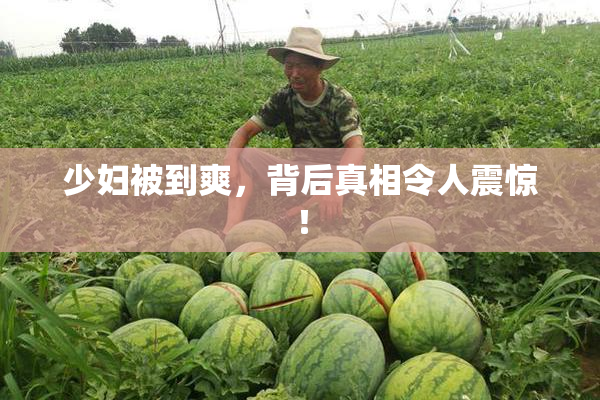 少妇被到爽，背后真相令人震惊！