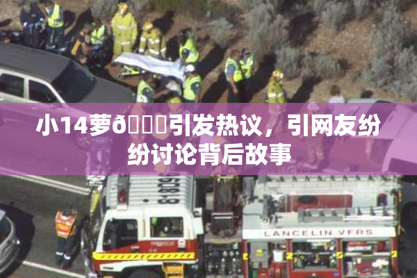 小14萝🔞引发热议，引网友纷纷讨论背后故事