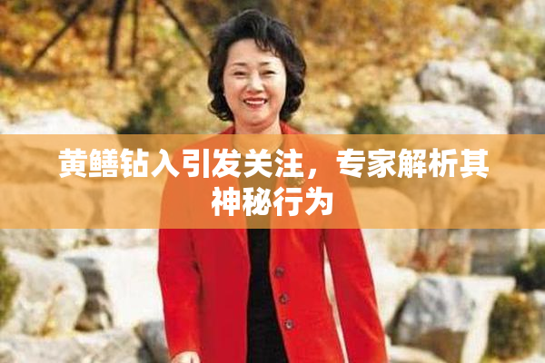 黄鳝钻入引发关注，专家解析其神秘行为