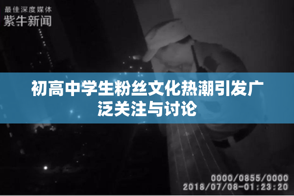 初高中学生粉丝文化热潮引发广泛关注与讨论
