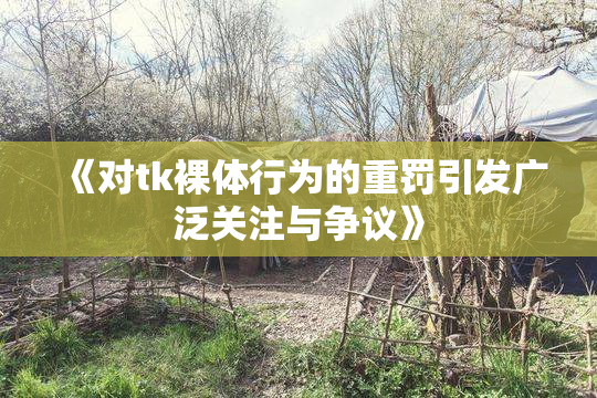 《对tk裸体行为的重罚引发广泛关注与争议》