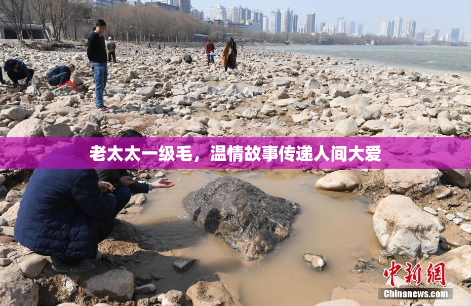 老太太一级毛，温情故事传递人间大爱
