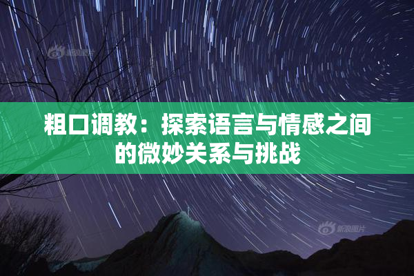 粗口调教：探索语言与情感之间的微妙关系与挑战