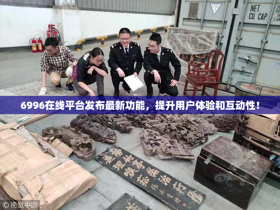 6996在线平台发布最新功能，提升用户体验和互动性！
