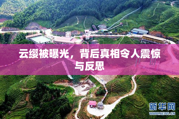 云缨被曝光，背后真相令人震惊与反思