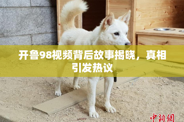 开鲁98视频背后故事揭晓，真相引发热议