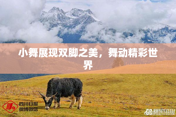 小舞展现双脚之美，舞动精彩世界