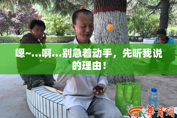 嗯~…啊…别急着动手，先听我说的理由！