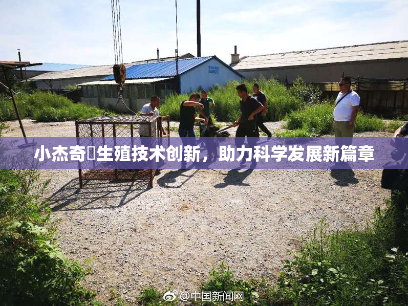小杰奇犽生殖技术创新，助力科学发展新篇章